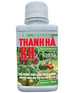 KH No6 - FRUIT AND RICE