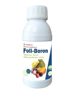 Foli - Boron