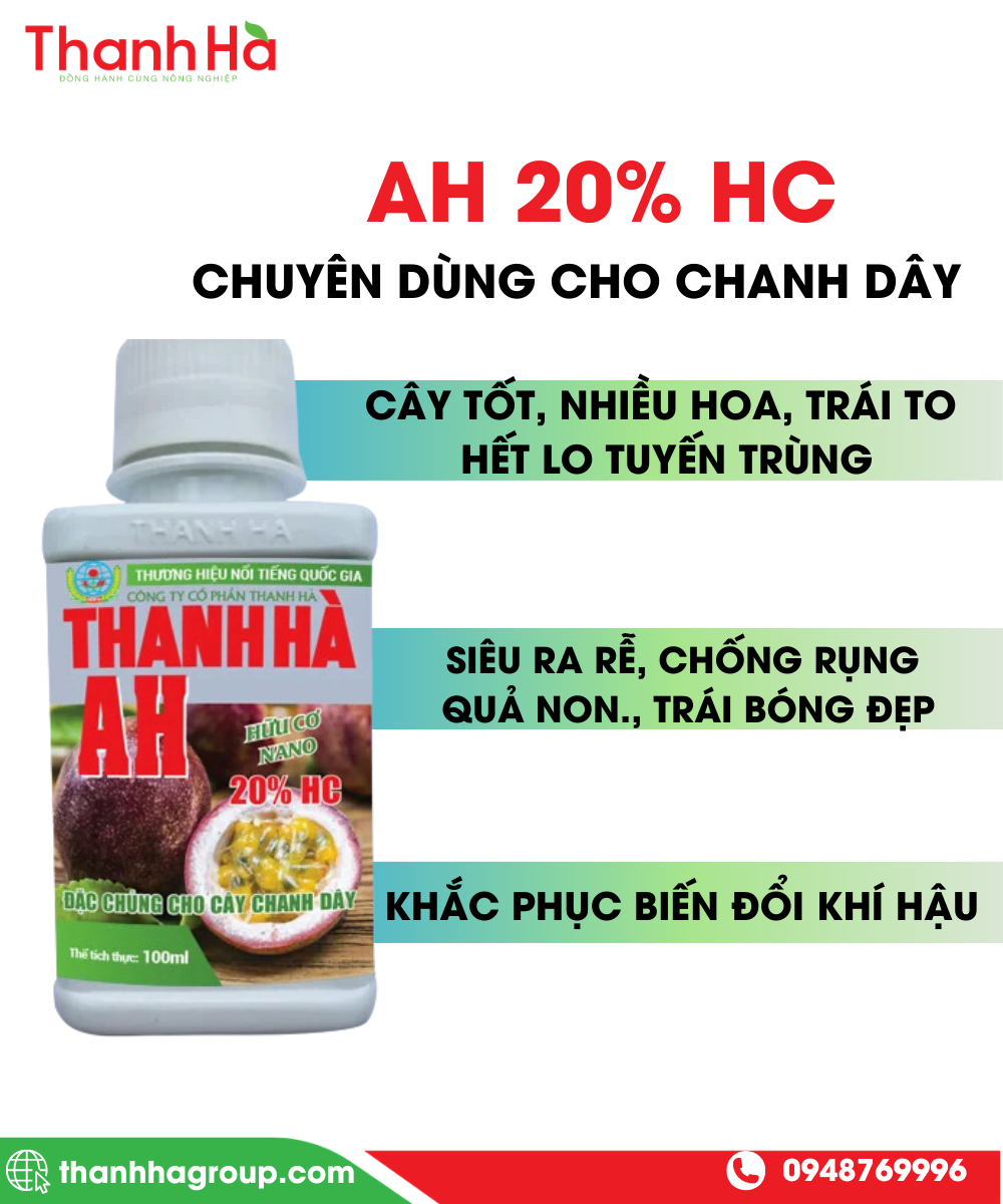 AH chanh dây