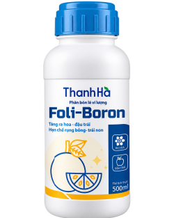 FOLI BORON