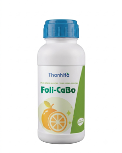FOLI-CABO