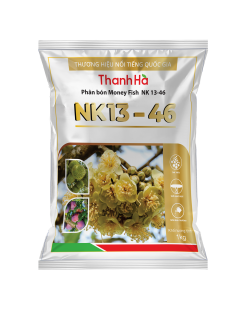 NK 13-46