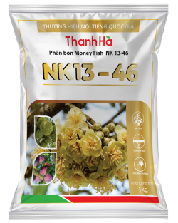 NK 13-46