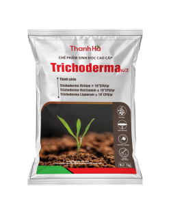 TRICHODERMA