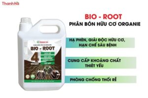 Bio- Root