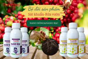 Nano Đồng Nano Bạc sử lý các loại bệnh trên cây cà phê